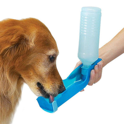 10 Reasons Why Portable Pet Water Dishes are a Must-Have for Every Pet Owner